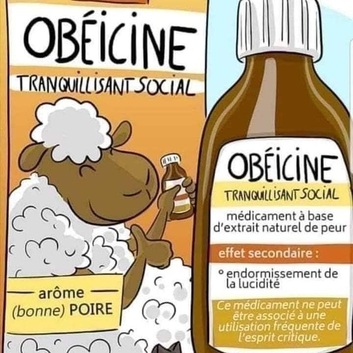 obeicine-a-l-arome-de-bonne-poire-pour-les-moutons.jpg