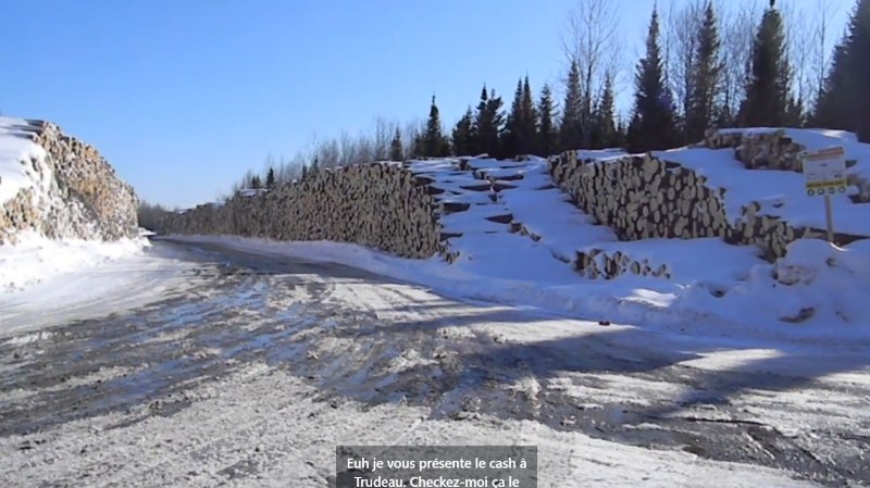 le-ravage-de-la-coupe-de-bois-a-la-baie-james-au-quebec.jpg