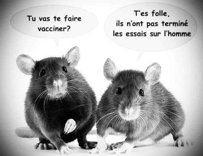 les-essais-de-vaccins-covid-ne-sont-pas-termines-sur-les-humains.jpeg