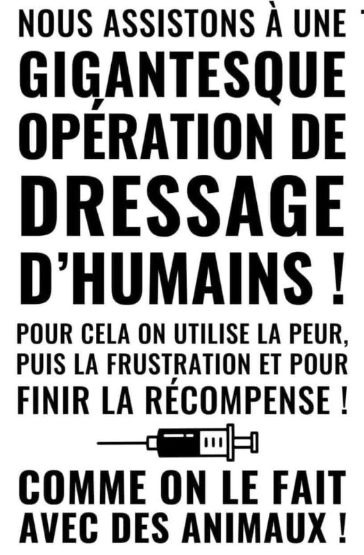 operation-de-dressage-d-humains.jpeg