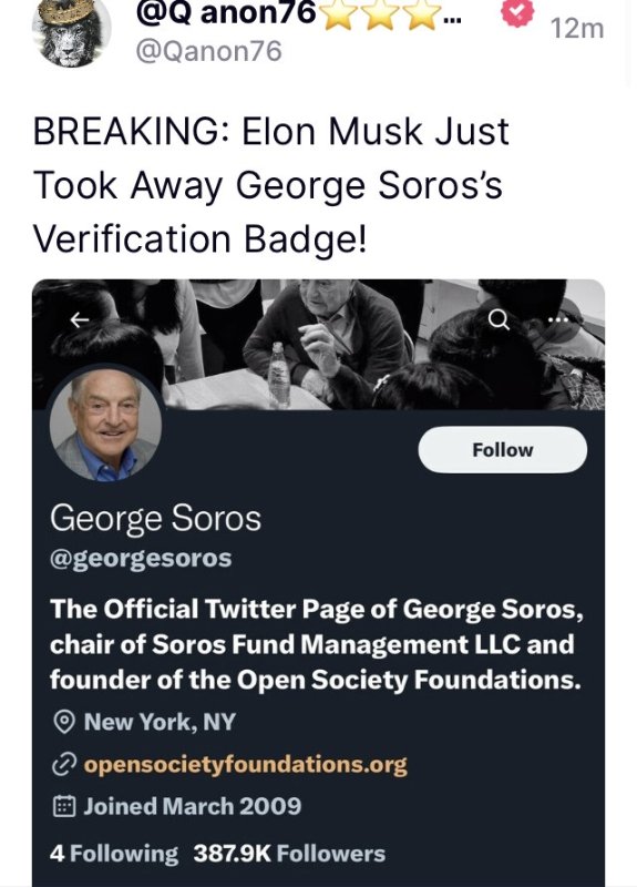 george-soros-n-a-plus-son-badge.jpg