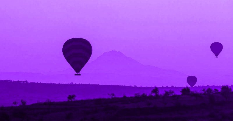montgolfieres.jpg