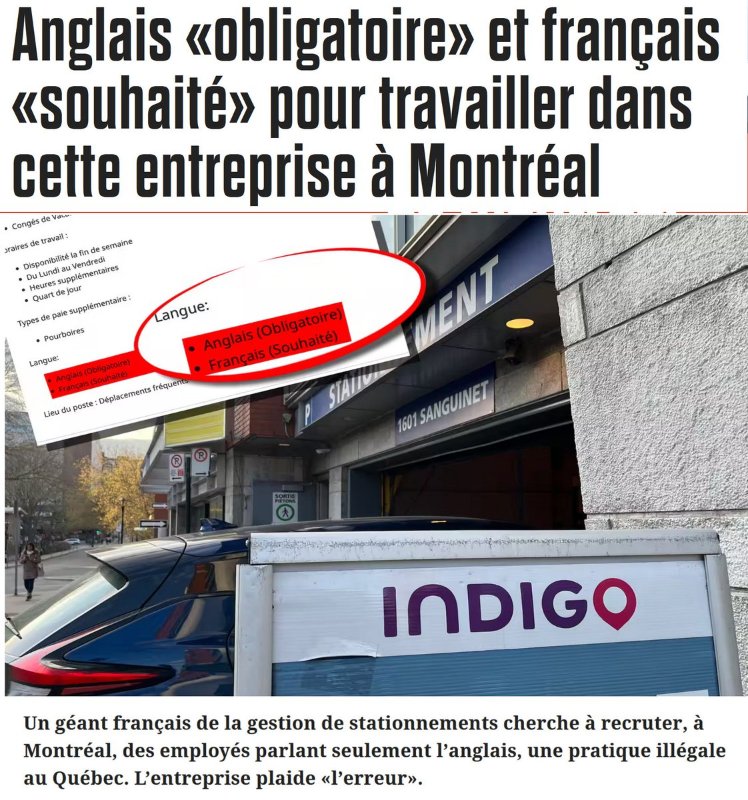 francais-souhaite-pour-travailler-chez-indigo.jpg