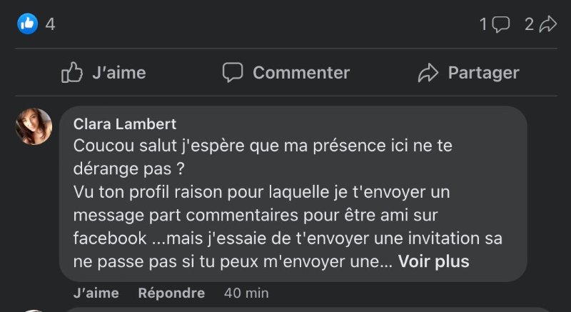 le-genre-de-message-laisse-par-un-faux-compte-en-commentaire.jpg