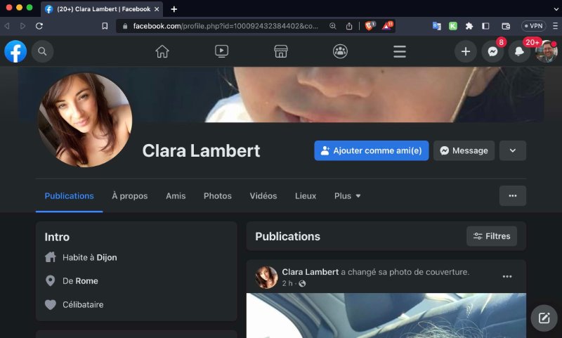 un-autre-faux-profil-dans-facebook.jpg