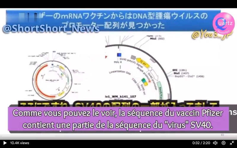 sequence-du-virus-sv40-dans-le-vaccin-covid-pfizer.jpg