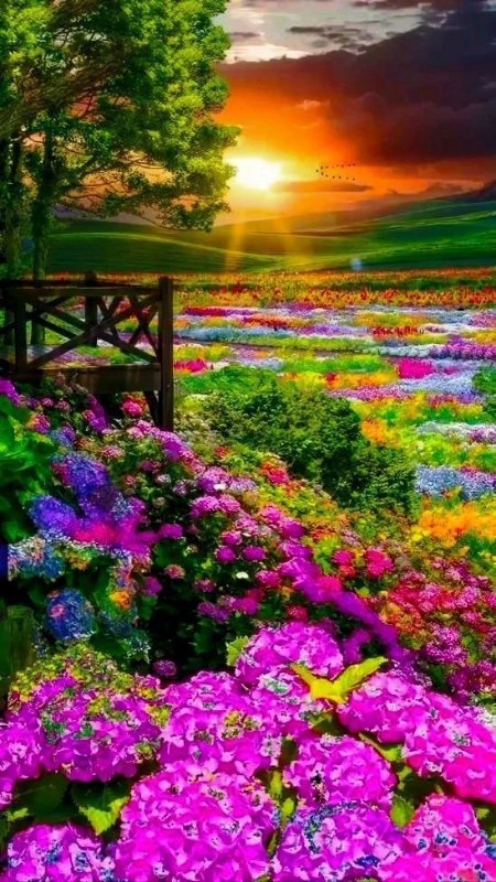 fleurs-magnifiques-5.jpg