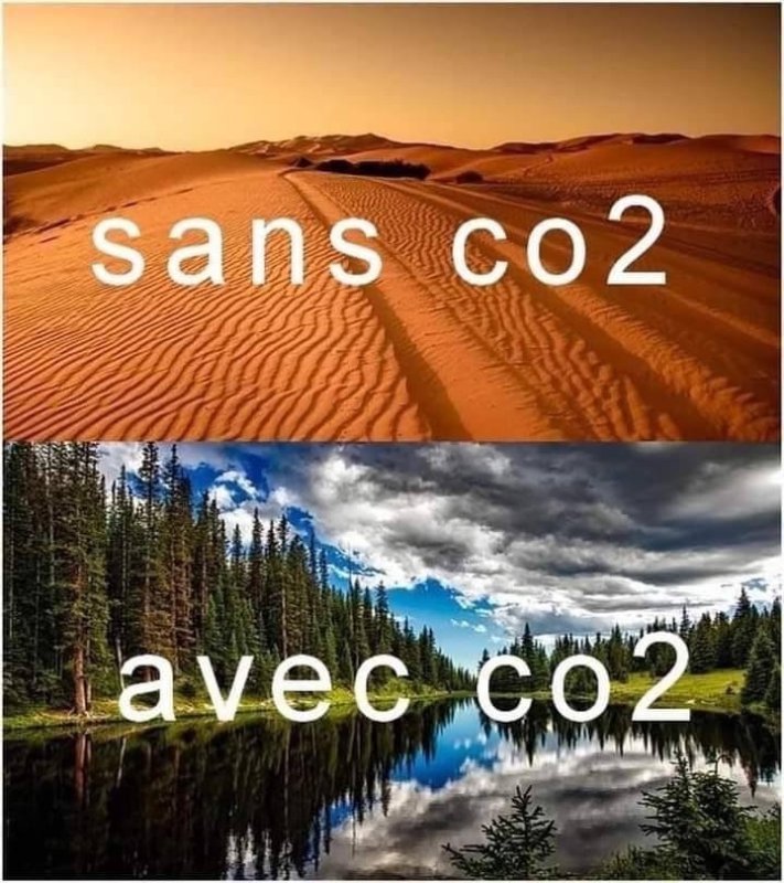 le-co2-est-necessaire-a-la-vie.jpg
