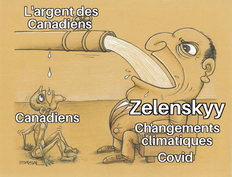 notre-argent-canadien-va-pour-l-ukraine-zelenskiste.jpg