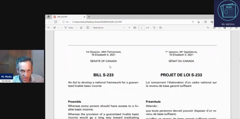 nlmedia-parle-du-pl-s-233-pour-le-revenu-de-base-garanti.jpg