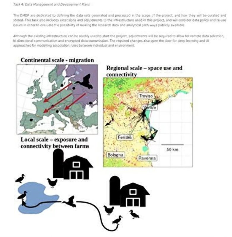 fonctionnement-de-la-dissemination-de-pathogenes-via-les-oiseaux-migrateurs.jpg