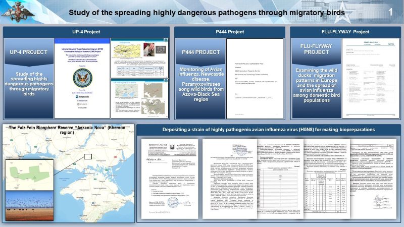 flu-flyaway-26-mai-2023-1.jpg