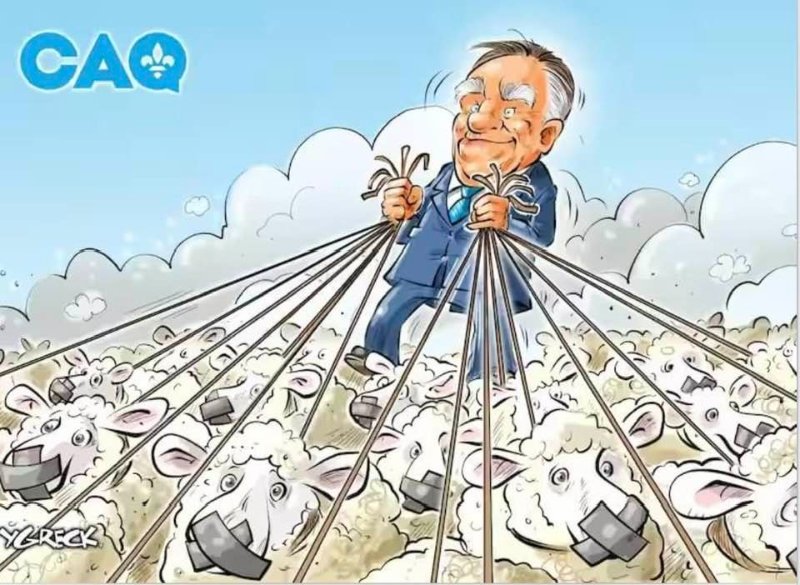 la-caq-controle-ses-moutons.jpg