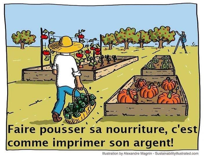 faire-pousser-sa-nourriture.jpg