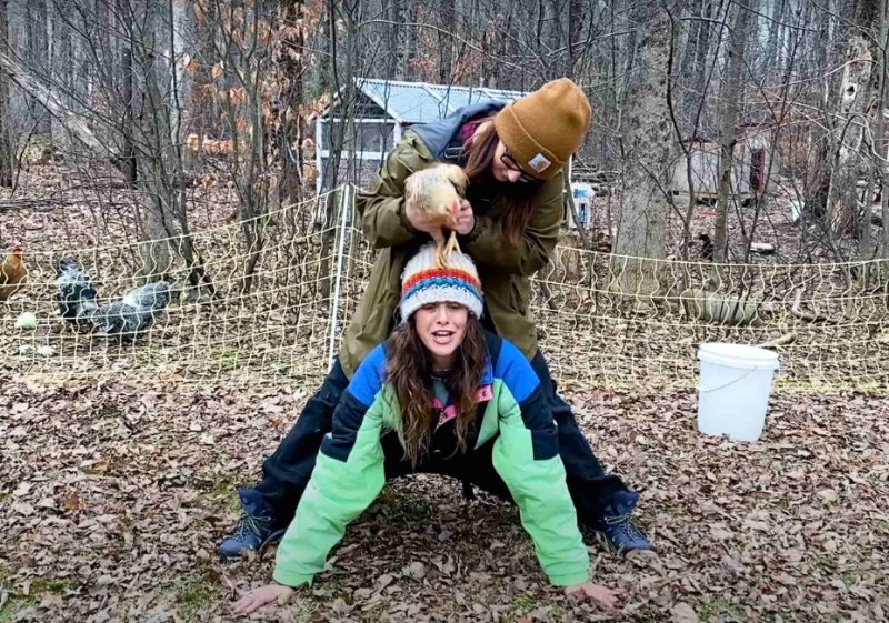 le-yoga-poules-de-toni-nagy.jpg