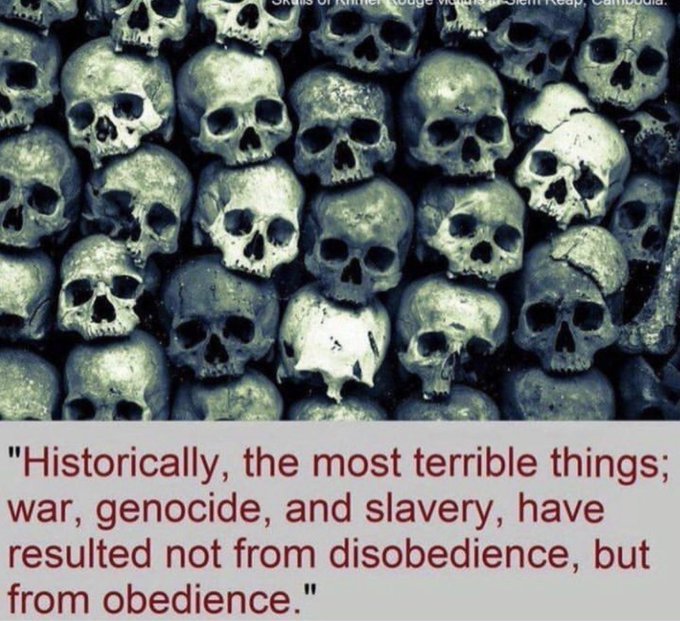 c-est-l-obeissance-qui-provoque-et-permet-les-horreurs-comme-des-genocides.jpg