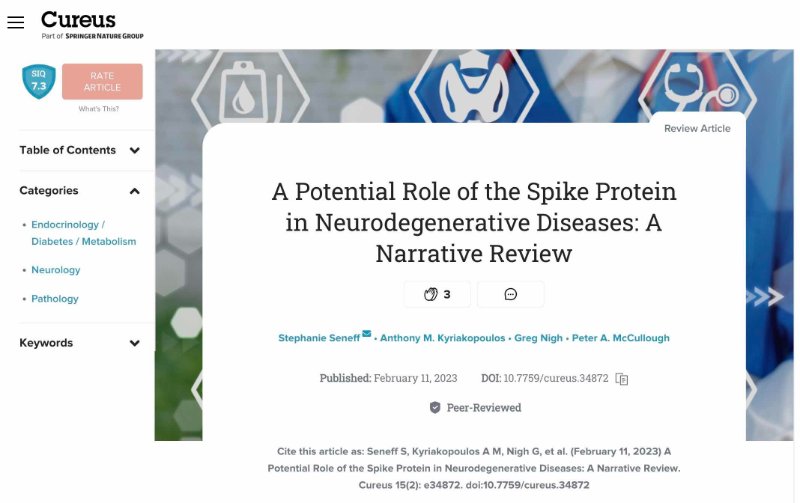 la-proteine-spike.jpg
