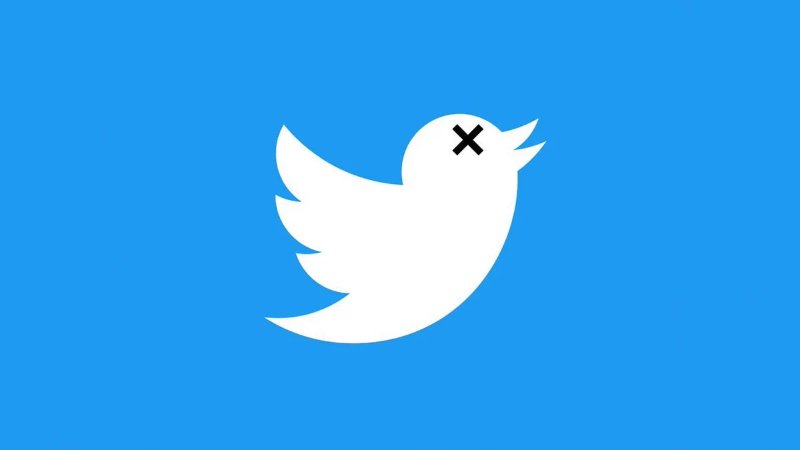 elon-musk-a-tue-l-oiseau-bleu.jpeg