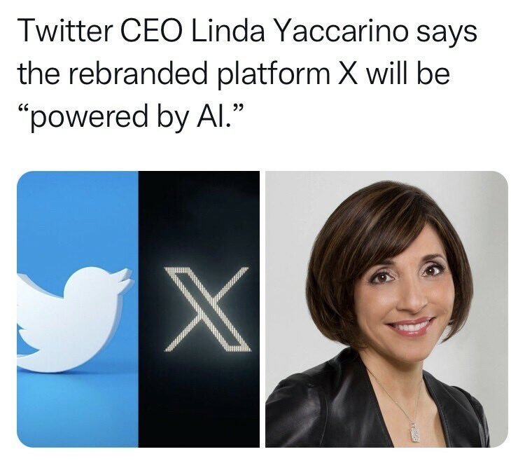 https://twitter.com/ArmandKleinX/status/1683559534202068994