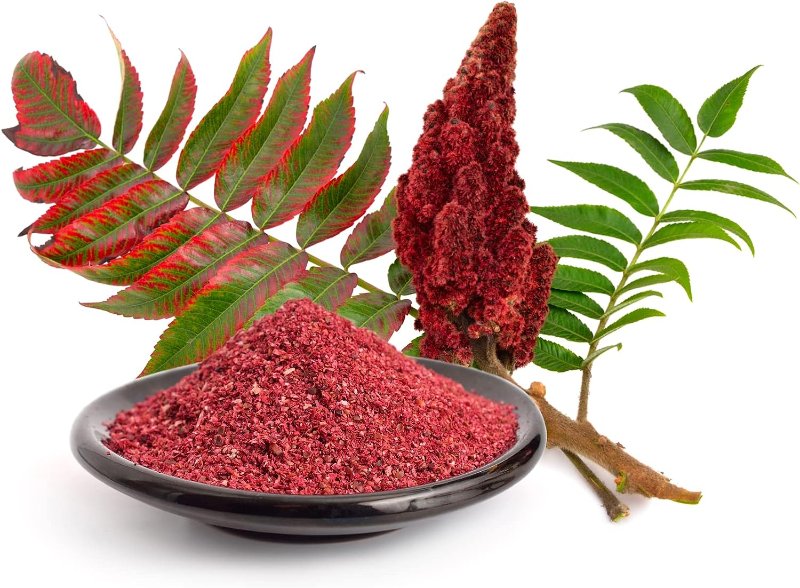 sumac-a-decouvrir.jpg