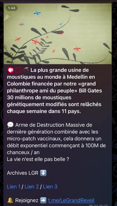 les-moustiques-vaccinaux-de-bill-gates-depuis-medellin-en-colombie.jpg