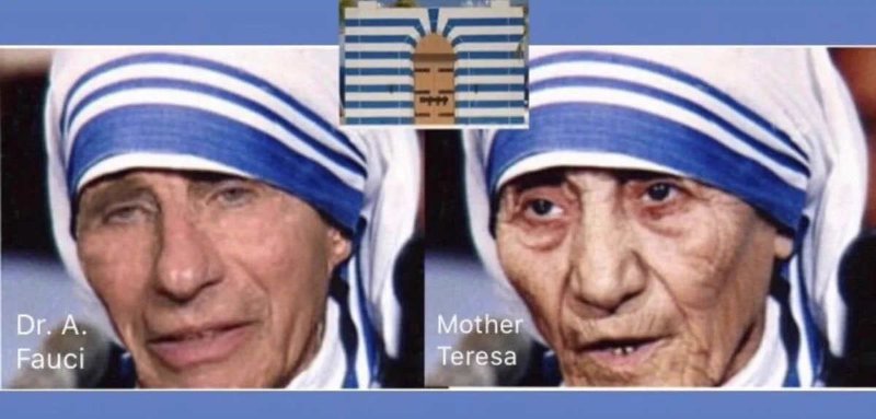anthoni-fauci-l-ile-de-jeffrey-epstein-et-mere-theresa.jpg