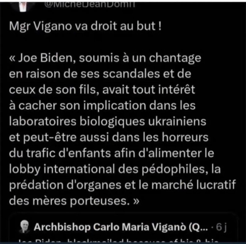 carlo-maria-vigano-va-droit-au-but.jpeg