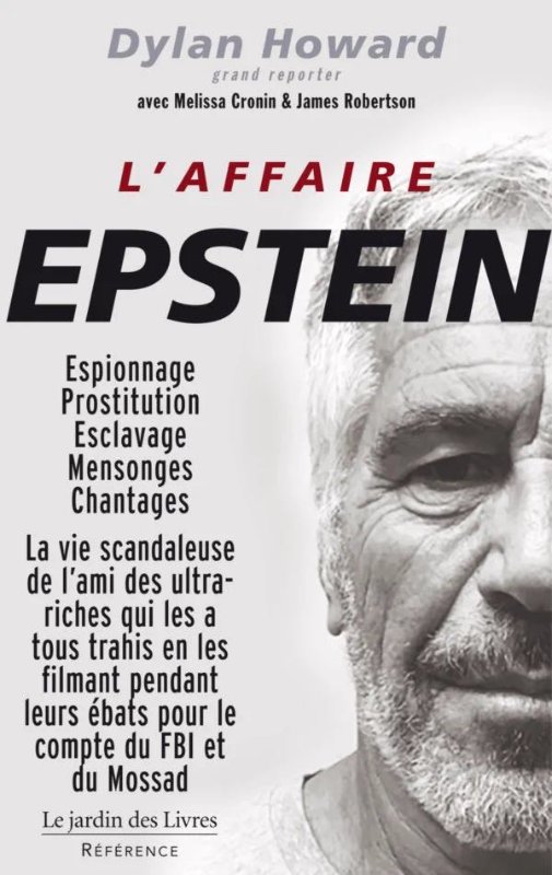 l-affaire-epstein.jpeg