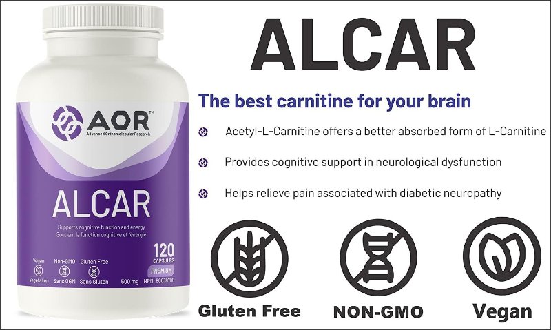 alcar-d-aor.jpg
