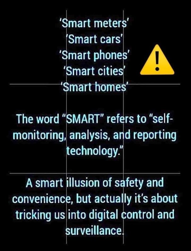 la-vraie-signification-de-smart.jpeg