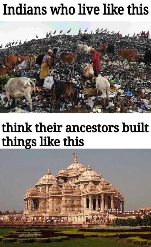 les-indiens-d-aujourd'hui-ne-sont-pas-ceux-d-avant.jpeg