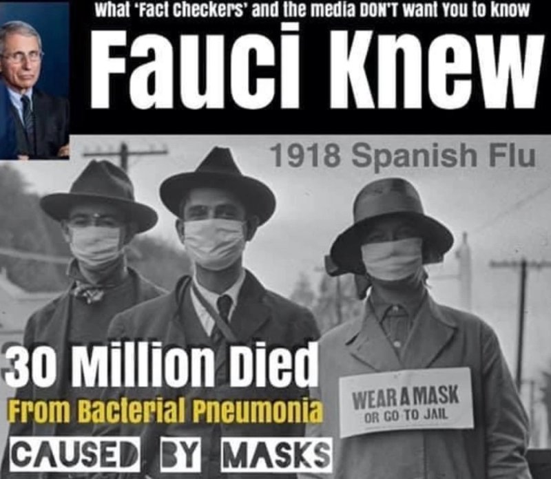 fauci-savait-ppur-les-stupieds-masques.jpeg