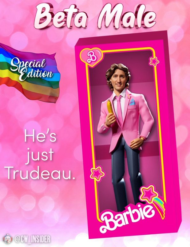 trudeau-en-tant-que-male-beta.jpg