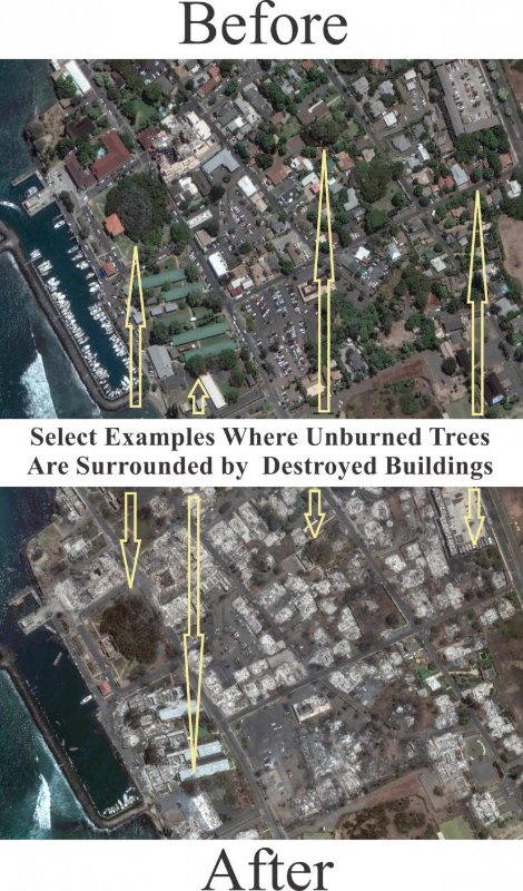 il-n-y-a-pas-de-forets-autour-de-la-ville-de-lahaina.jpg