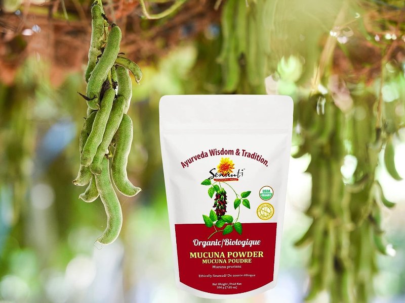 poudre-de-mucuna.jpg