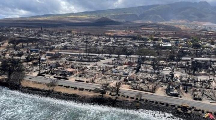 lahaina-a-maui-apes-l-attaque-mondialiste.jpeg