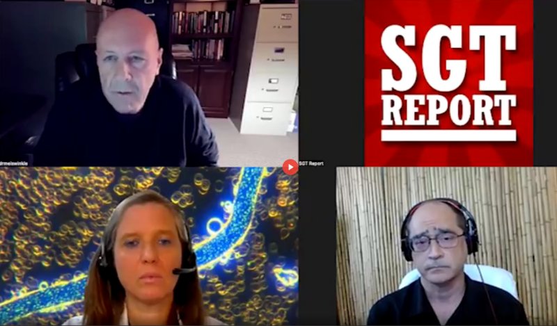 sgt-report-du-25-aout-2023.jpg