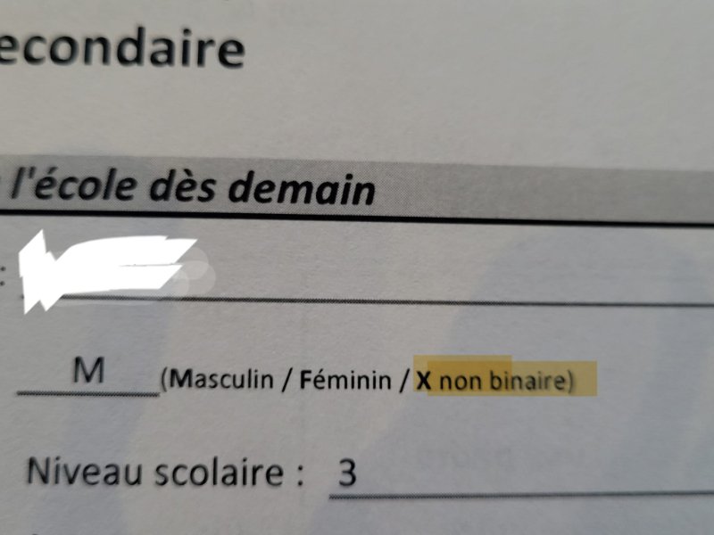 rentree-scolaire-non-genree-aout-2023-au-quebec.jpg