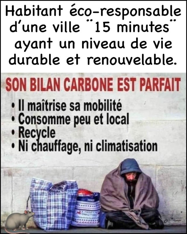 bilan-cabone-parfait.jpg