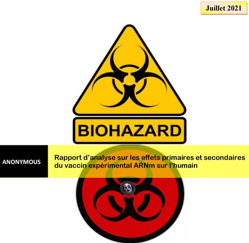 rapport-d-analyse-sur-la-vaccination-experimentale.JPG