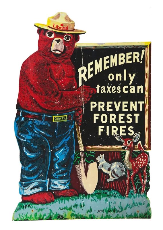 seules-les-taxes-peuvent-prevenir-les-feux-de-forets.jpg