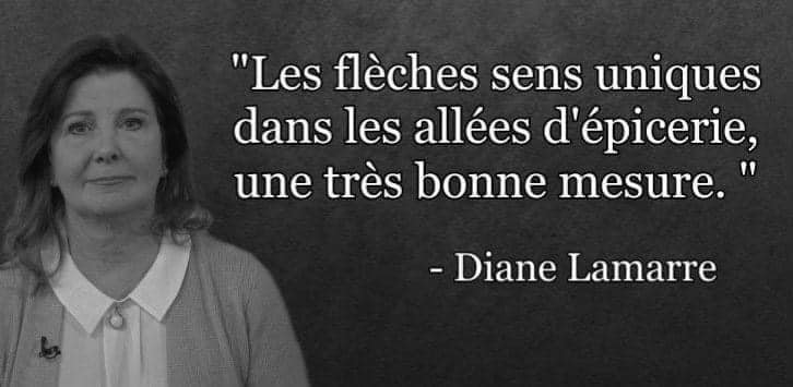 diane-lamarre-les-fleches.jpg