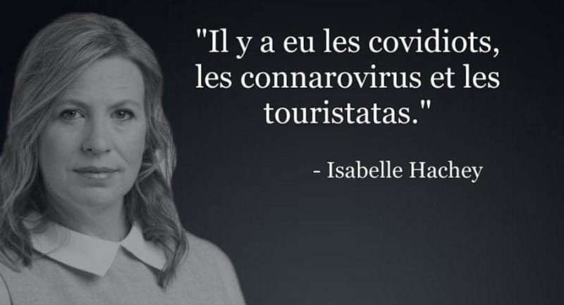 isabelle-hachey-covidiots.jpg