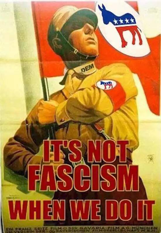 ce-n-est-pas-du-fascisme-lorsque-les-democrates-le-font.jpg