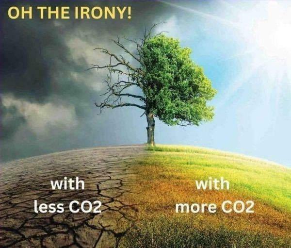 l-ironie-avec-et-sans-co2.jpg