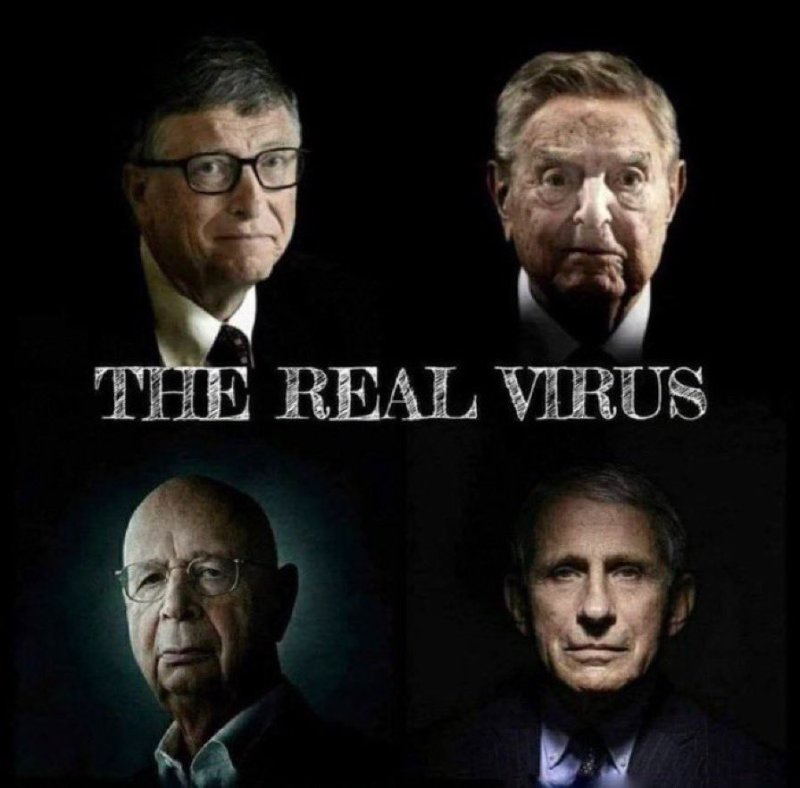 le-vrai-virus.jpg