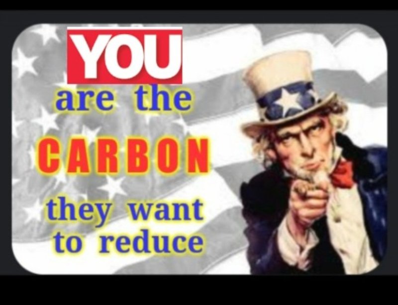 vous-etes-le-carbone-qu-ils-veulent-reduire.jpg