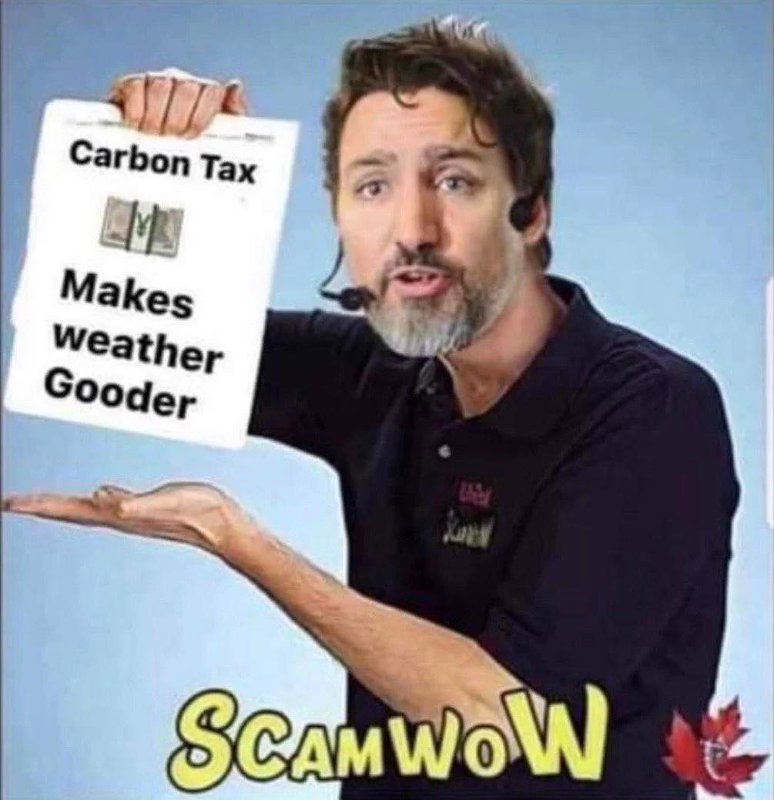 scamwow.jpg