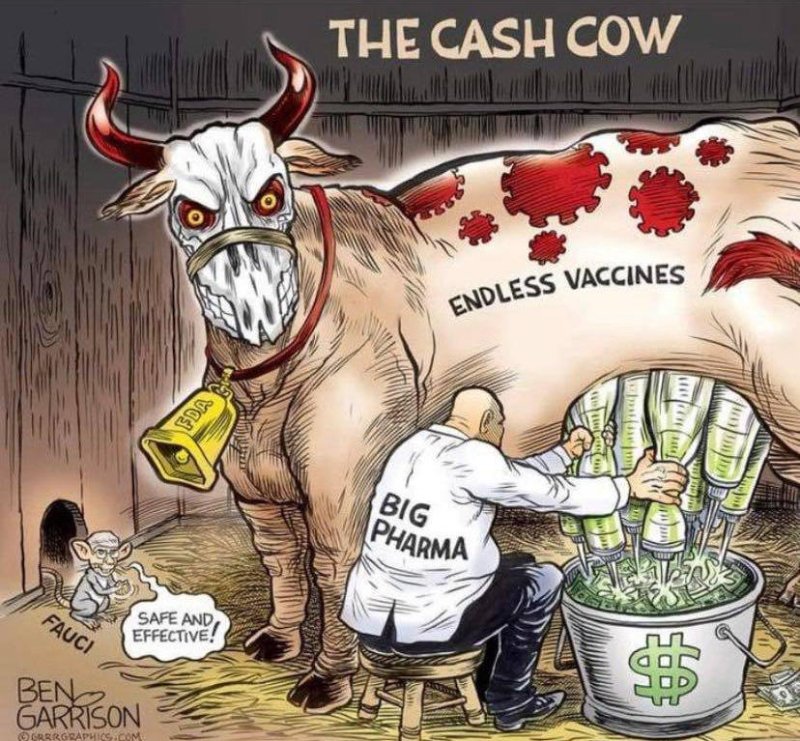 la-vache-a-cash-covid-de-big-pharma.jpg