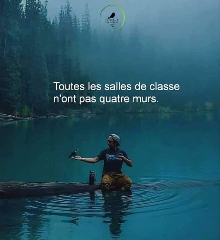 salle-de-classe-dans-la-nature.jpg